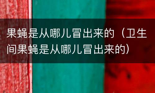果蝇是从哪儿冒出来的（卫生间果蝇是从哪儿冒出来的）