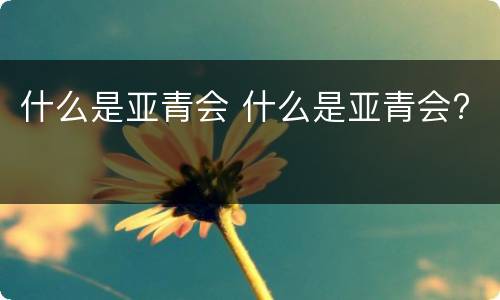 什么是亚青会 什么是亚青会?