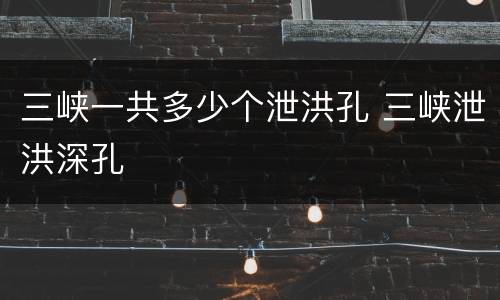 三峡一共多少个泄洪孔 三峡泄洪深孔