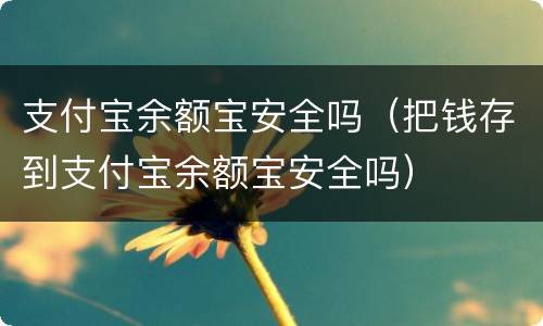 支付宝余额宝安全吗（把钱存到支付宝余额宝安全吗）