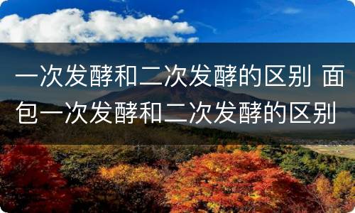 一次发酵和二次发酵的区别 面包一次发酵和二次发酵的区别