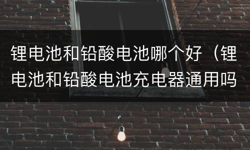 锂电池和铅酸电池哪个好（锂电池和铅酸电池充电器通用吗）