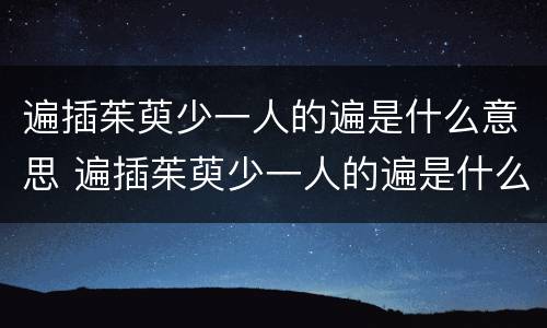 遍插茱萸少一人的遍是什么意思 遍插茱萸少一人的遍是什么意思注意是什么意思