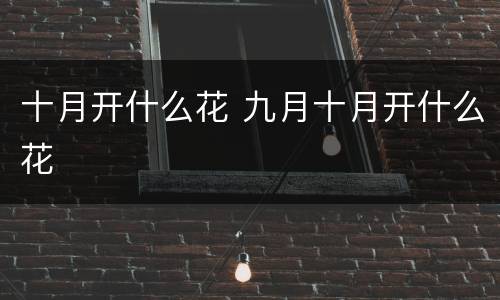 十月开什么花 九月十月开什么花