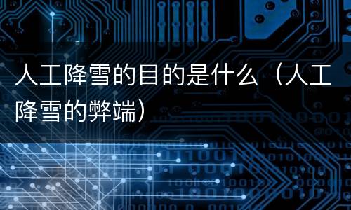 人工降雪的目的是什么（人工降雪的弊端）