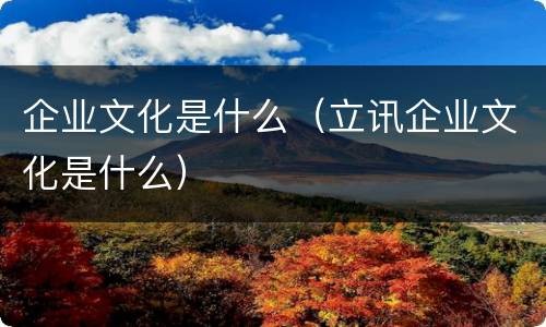 企业文化是什么（立讯企业文化是什么）