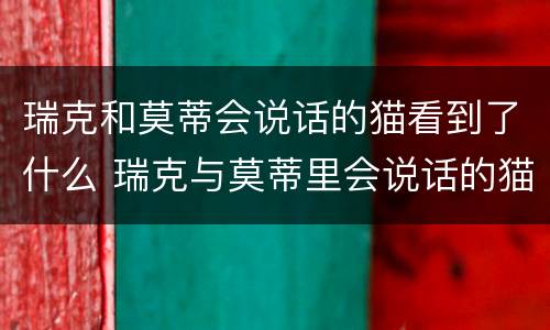 瑞克和莫蒂会说话的猫看到了什么 瑞克与莫蒂里会说话的猫