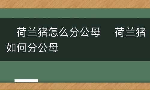 ​荷兰猪怎么分公母 ​荷兰猪如何分公母