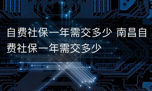 自费社保一年需交多少 南昌自费社保一年需交多少