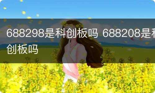688298是科创板吗 688208是科创板吗