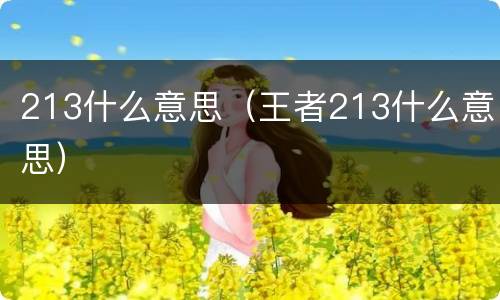 213什么意思（王者213什么意思）