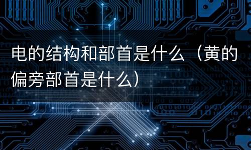 电的结构和部首是什么（黄的偏旁部首是什么）