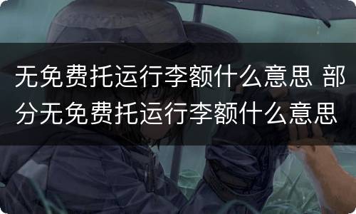 无免费托运行李额什么意思 部分无免费托运行李额什么意思