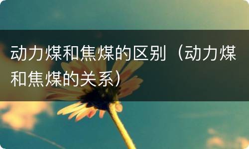 动力煤和焦煤的区别（动力煤和焦煤的关系）