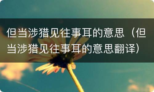 但当涉猎见往事耳的意思（但当涉猎见往事耳的意思翻译）