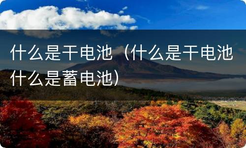 什么是干电池（什么是干电池什么是蓄电池）