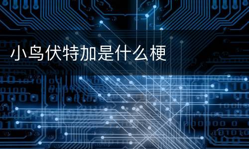 小鸟伏特加是什么梗