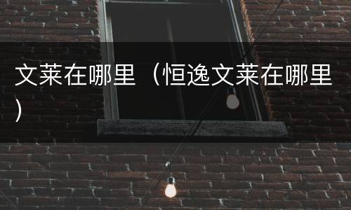 文莱在哪里（恒逸文莱在哪里）