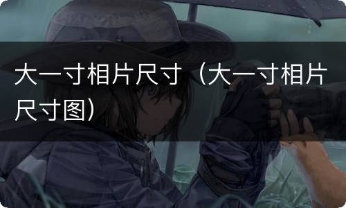 大一寸相片尺寸（大一寸相片尺寸图）