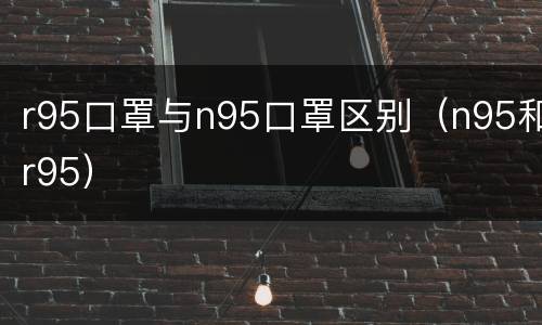 r95口罩与n95口罩区别（n95和r95）