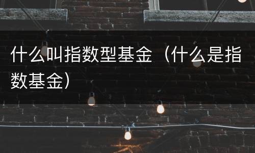 什么叫指数型基金（什么是指数基金）