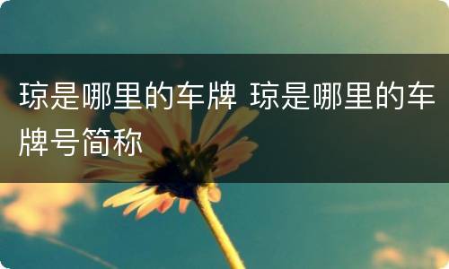 琼是哪里的车牌 琼是哪里的车牌号简称