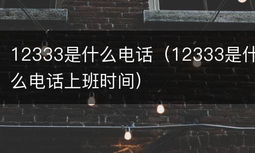 12333是什么电话（12333是什么电话上班时间）