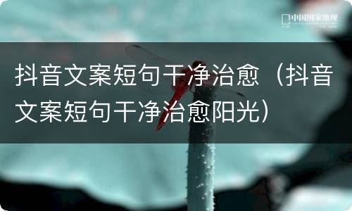 抖音文案短句干净治愈（抖音文案短句干净治愈阳光）