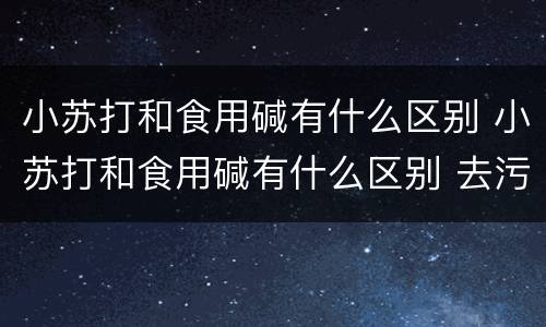 小苏打和食用碱有什么区别 小苏打和食用碱有什么区别 去污