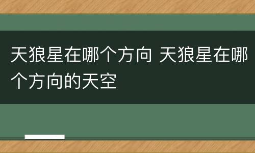 天狼星在哪个方向 天狼星在哪个方向的天空