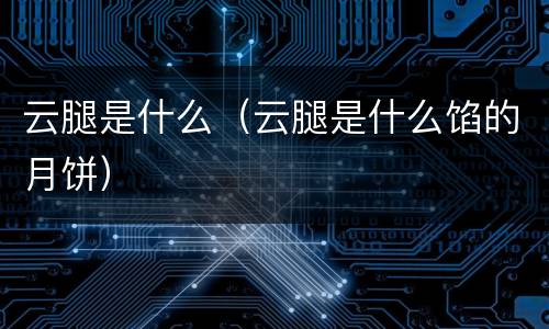 云腿是什么（云腿是什么馅的月饼）