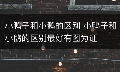 小鸭子和小鹅的区别 小鸭子和小鹅的区别最好有图为证
