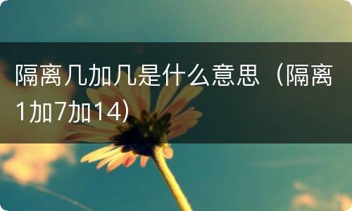 隔离几加几是什么意思（隔离1加7加14）