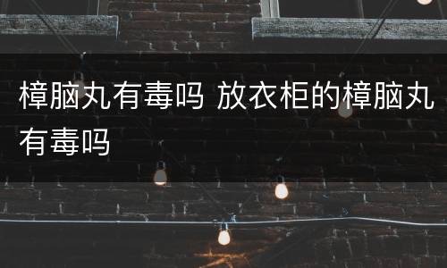 樟脑丸有毒吗 放衣柜的樟脑丸有毒吗