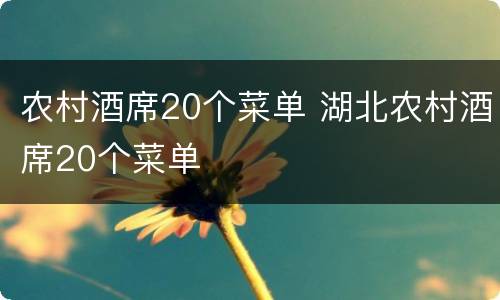 农村酒席20个菜单 湖北农村酒席20个菜单