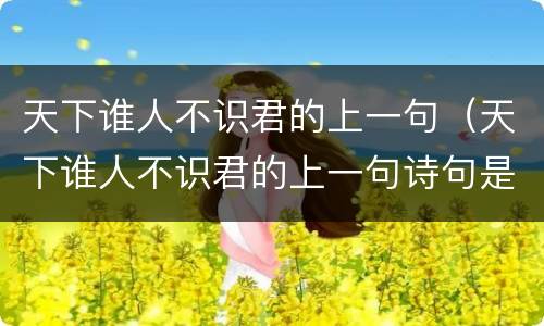 天下谁人不识君的上一句（天下谁人不识君的上一句诗句是什么）