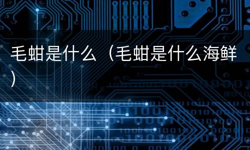 毛蚶是什么（毛蚶是什么海鲜）