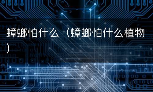 蟑螂怕什么（蟑螂怕什么植物）