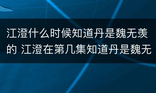 江澄什么时候知道丹是魏无羡的 江澄在第几集知道丹是魏无羡的