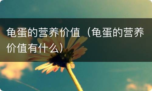 龟蛋的营养价值（龟蛋的营养价值有什么）