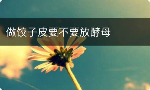 做饺子皮要不要放酵母