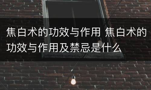 焦白术的功效与作用 焦白术的功效与作用及禁忌是什么