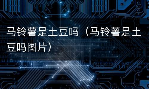 马铃薯是土豆吗（马铃薯是土豆吗图片）