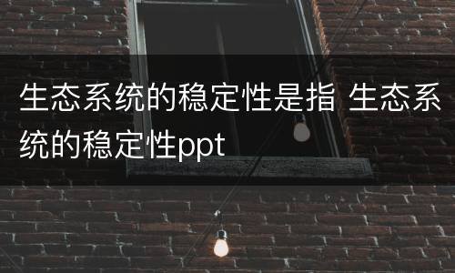 生态系统的稳定性是指 生态系统的稳定性ppt