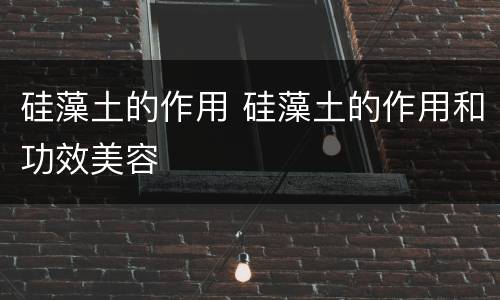 硅藻土的作用 硅藻土的作用和功效美容