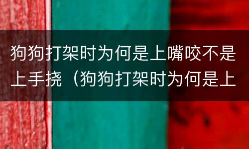 狗狗打架时为何是上嘴咬不是上手挠（狗狗打架时为何是上嘴咬不是上手挠的）