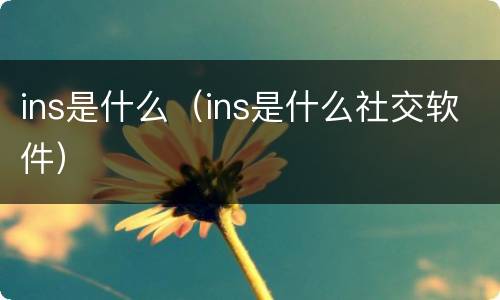 ins是什么（ins是什么社交软件）