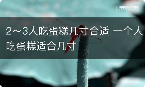 2～3人吃蛋糕几寸合适 一个人吃蛋糕适合几寸