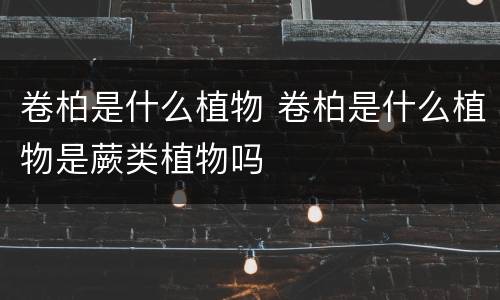 卷柏是什么植物 卷柏是什么植物是蕨类植物吗