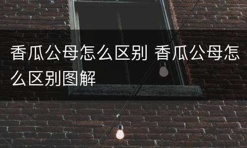 香瓜公母怎么区别 香瓜公母怎么区别图解